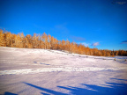 Frostbitten Morning 2